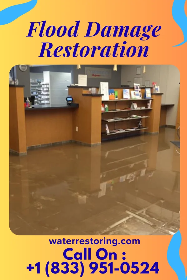 Flood Damage Restoration in Lemont, IL